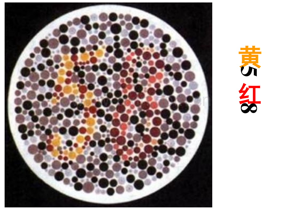人教版教学贵州省北师大贵阳附中高二生物必修二23伴性遗传.pptx_第2页