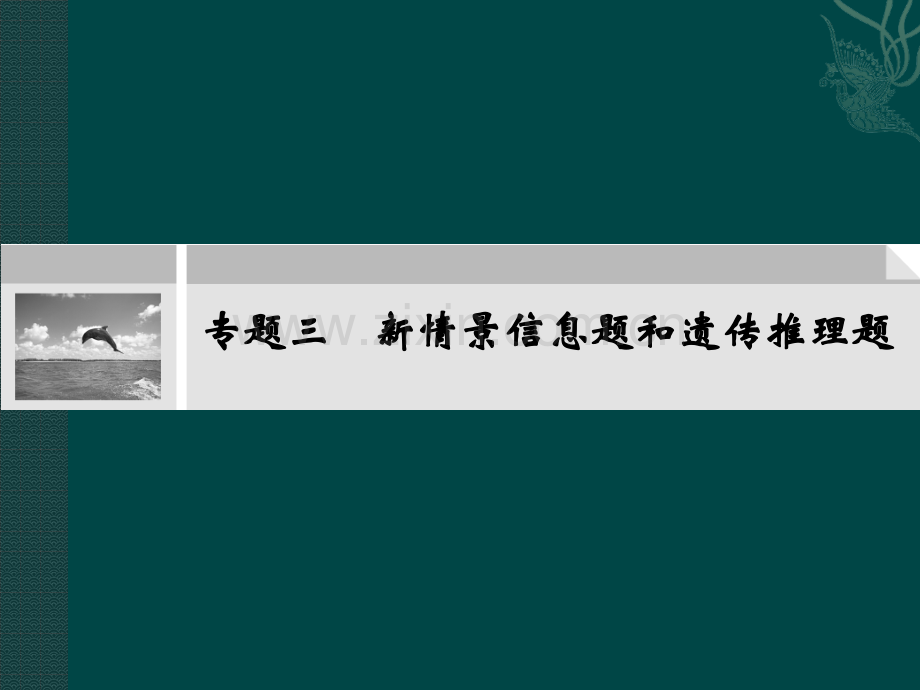 专题新情境信息题和遗传推理题.pptx_第1页