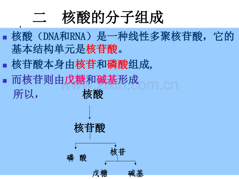 g改核酸的化学组成.pptx_第1页