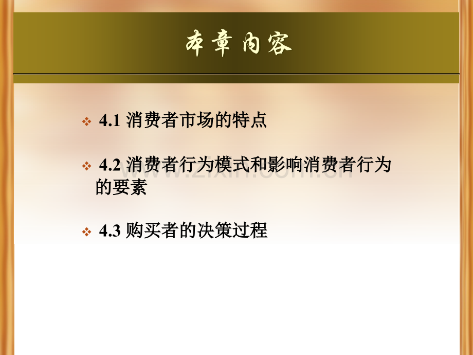 chapter4消费者市场和消费者行为剖析.pptx_第2页