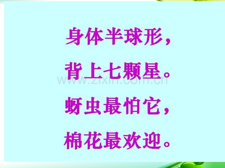 一年级瓢虫的花衣裳课件.pptx_第1页