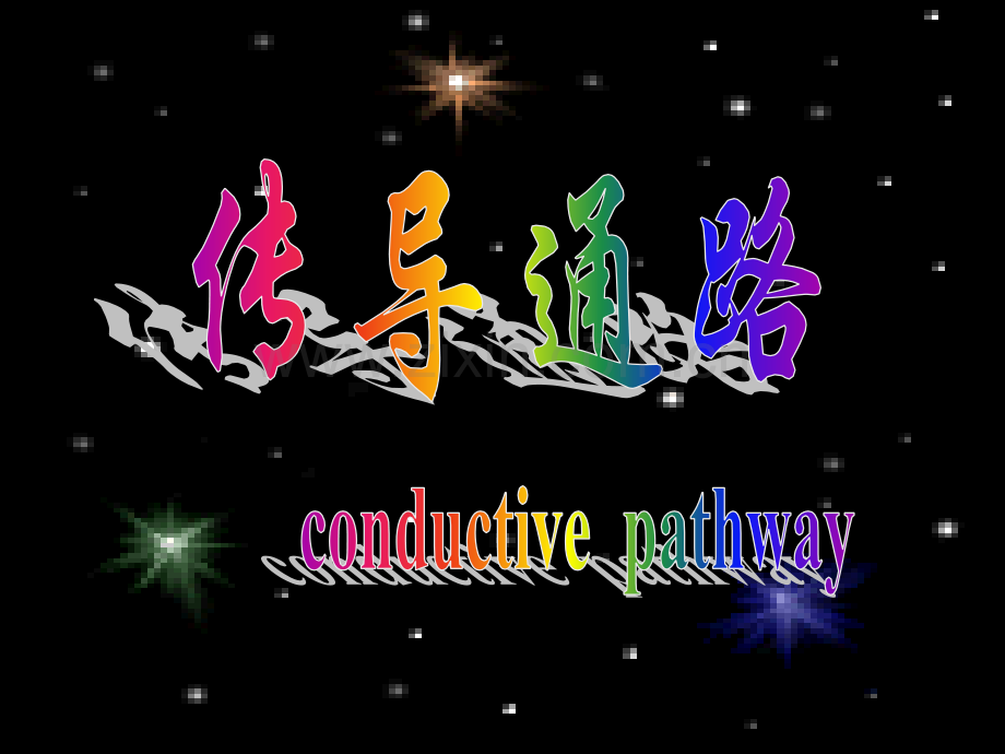 29传导通路.pptx_第1页