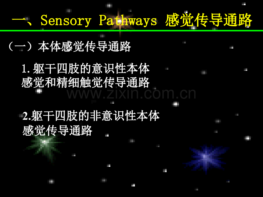 29传导通路.pptx_第2页