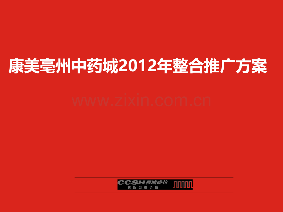 亳州康美中药城项目推广策略案.pptx_第1页