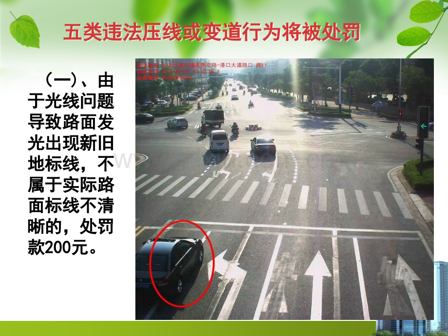 五类压线处罚和新修订扣分.pptx_第2页