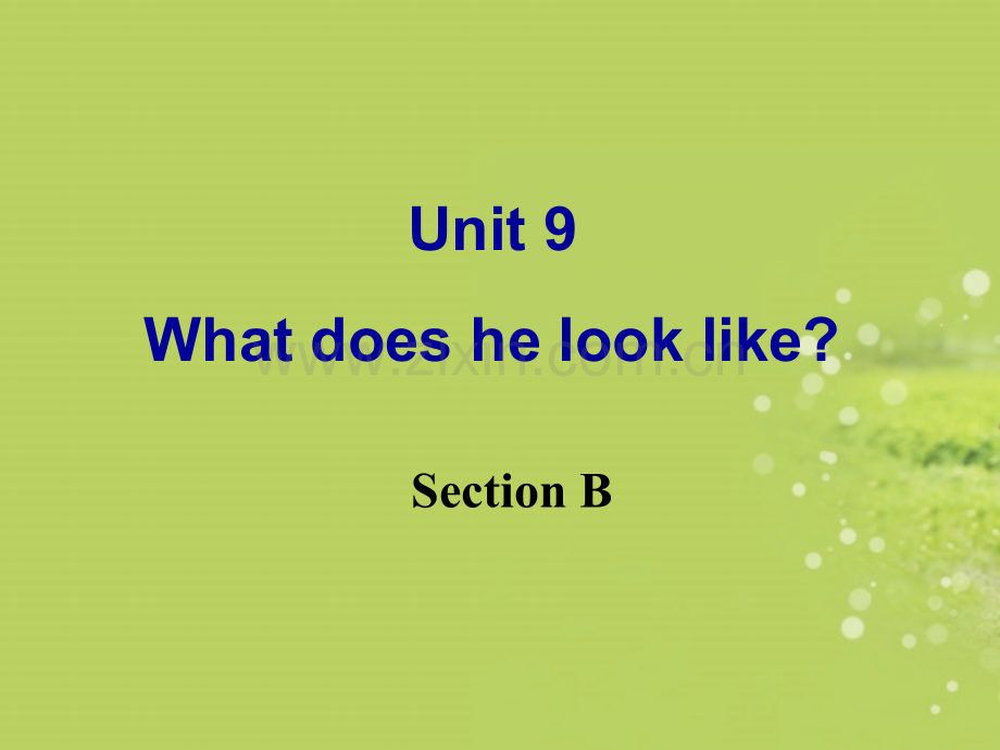七年级英语下册Unit9WhatdoeshelooklikeSectionB课件新版人教新目标版.ppt_第2页