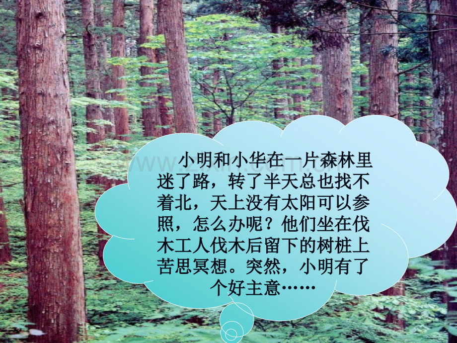 七年级数学13截一个几何体.pptx_第2页