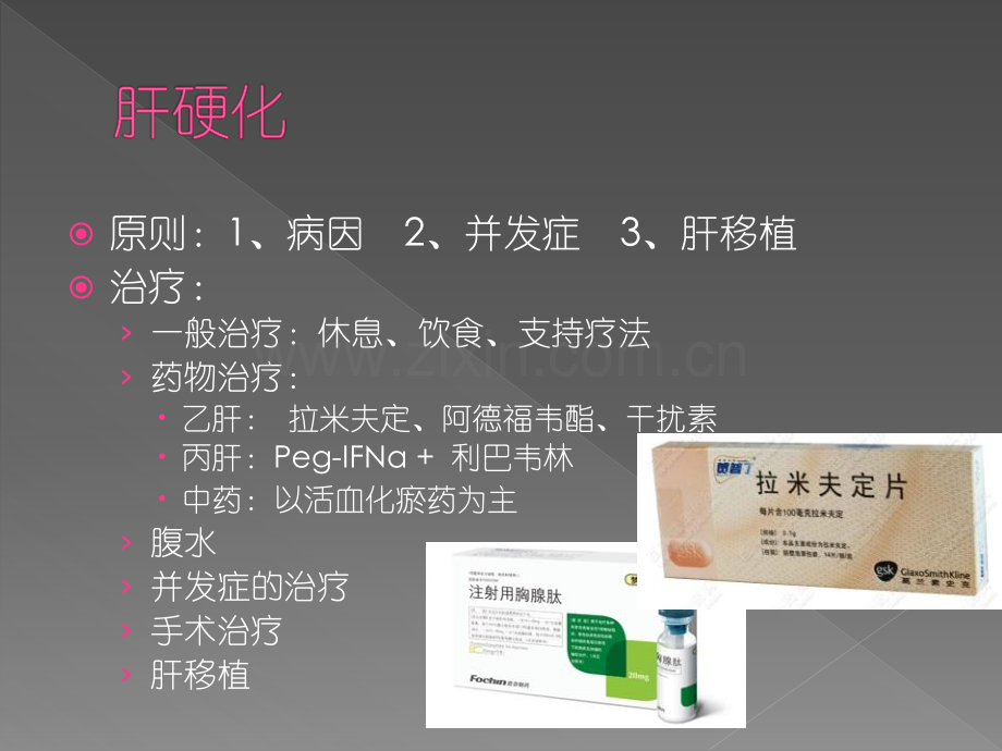 PBL肝癌的治疗.pptx_第2页
