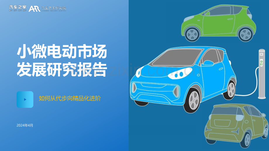 2024小微电动市场发展研究报告.pdf_第1页