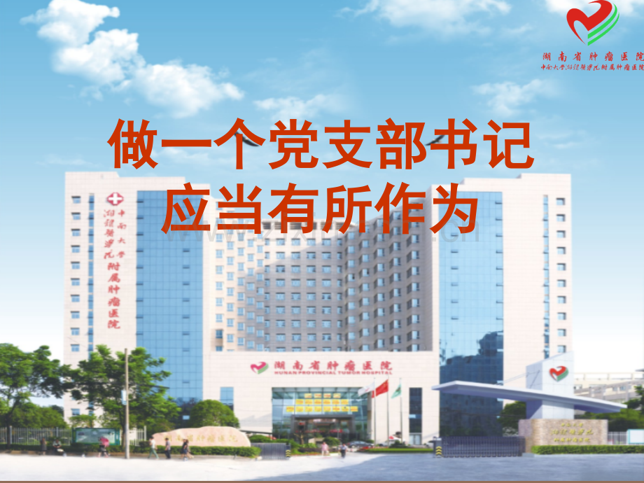 做一个党支部书记应当有所作为.pptx_第1页