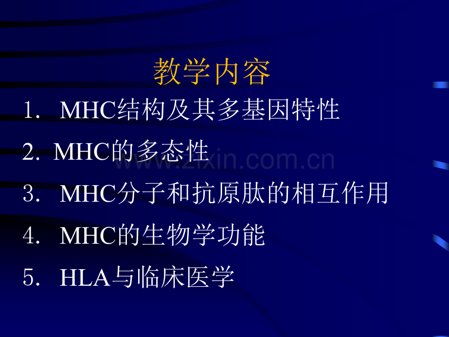 主要组织相容性复合物05.pptx_第1页
