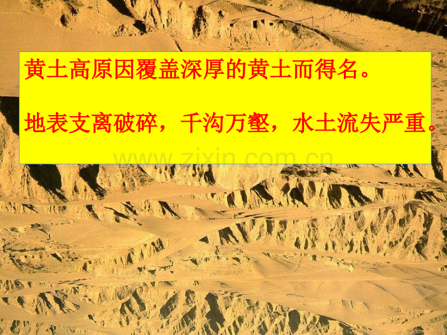 世界上最大的黄土堆积区——黄土高原新人教版.pptx_第2页