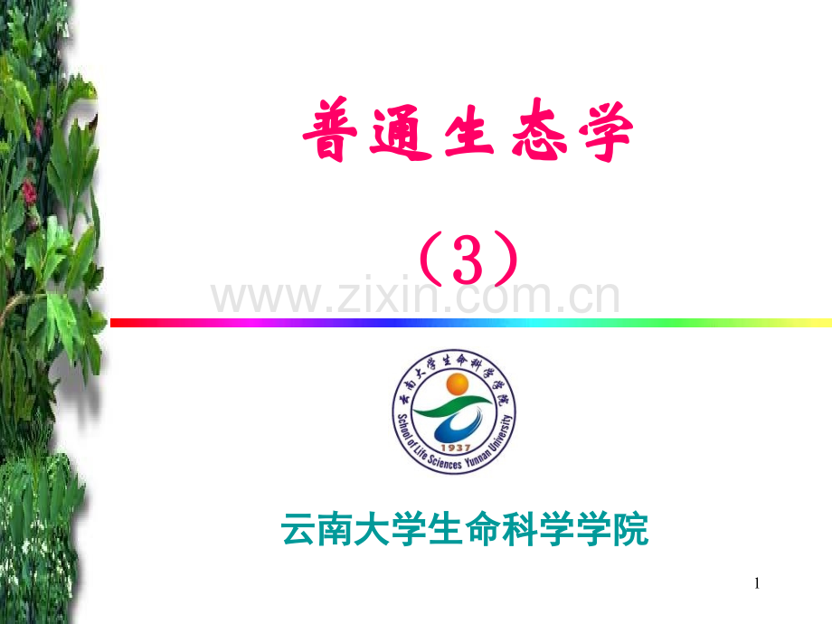 云南大学生命科学学院.pptx_第1页