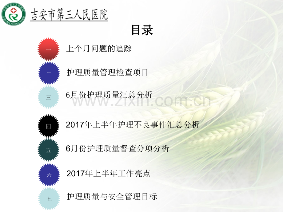 6月份护理质量控制汇报.pptx_第2页