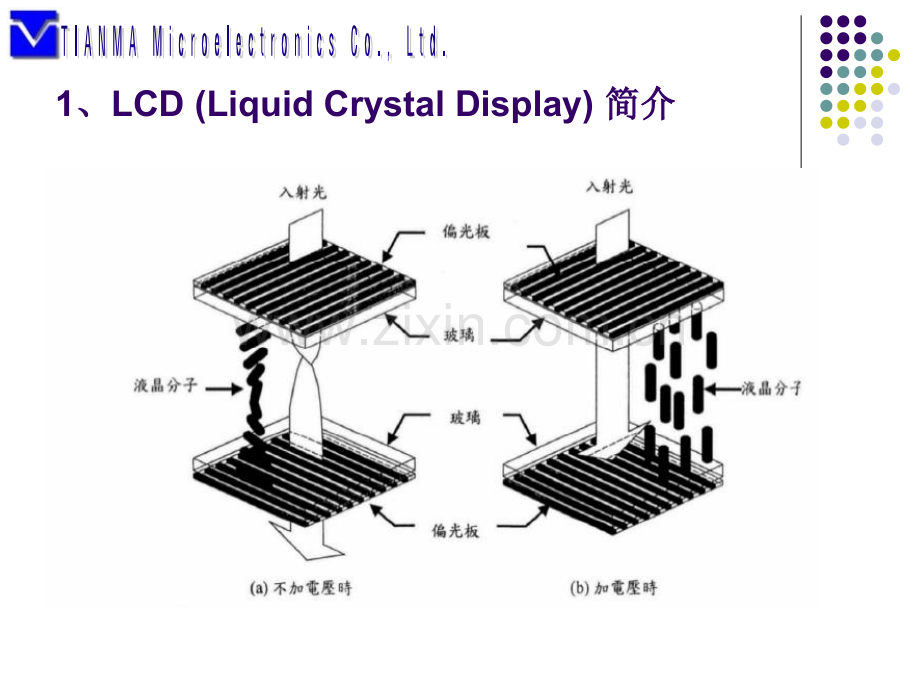LCM技术和设计问题.pptx_第1页
