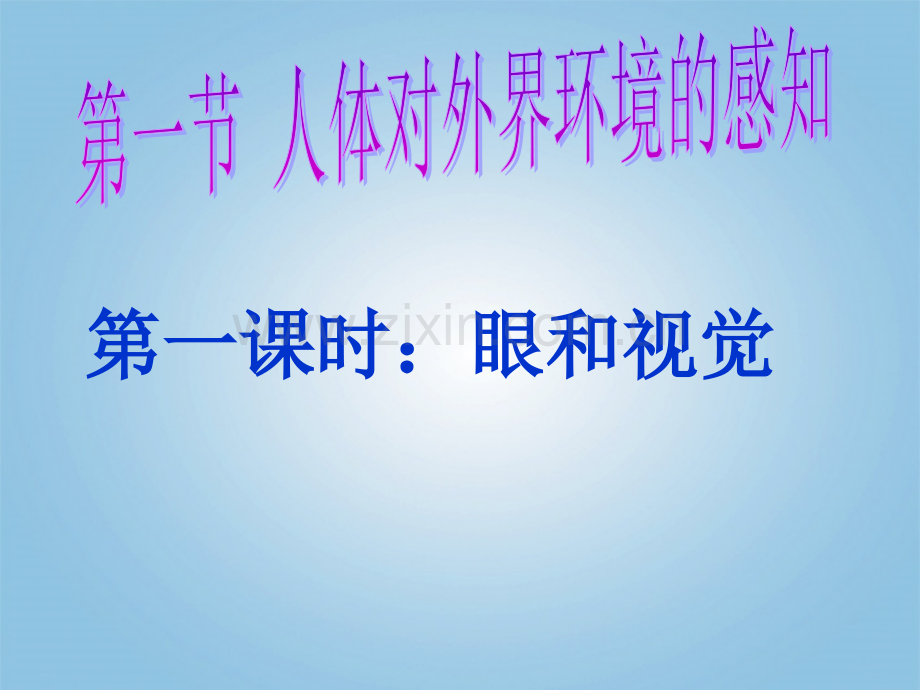 七年级生物下册--人体对外界环境的感知-人教新课标.pptx_第1页