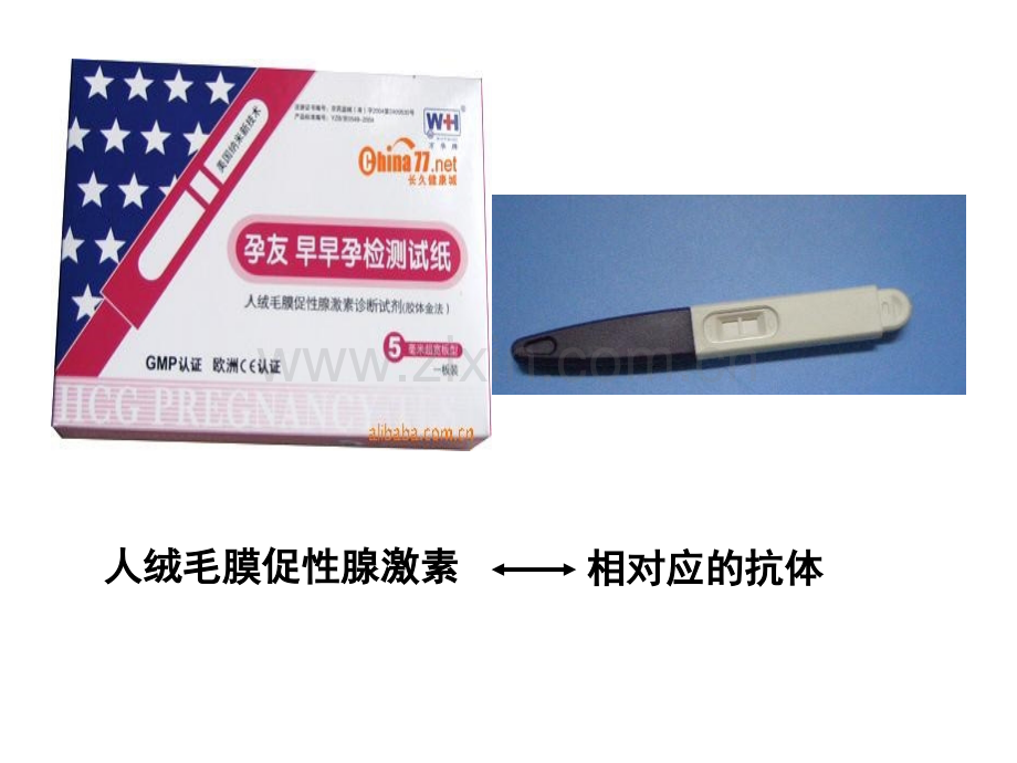 222-动物细胞融合与单体克隆抗体-高中生物人教版选修3-现代生物科技专题7789ppt-PPT课件.pptx_第1页