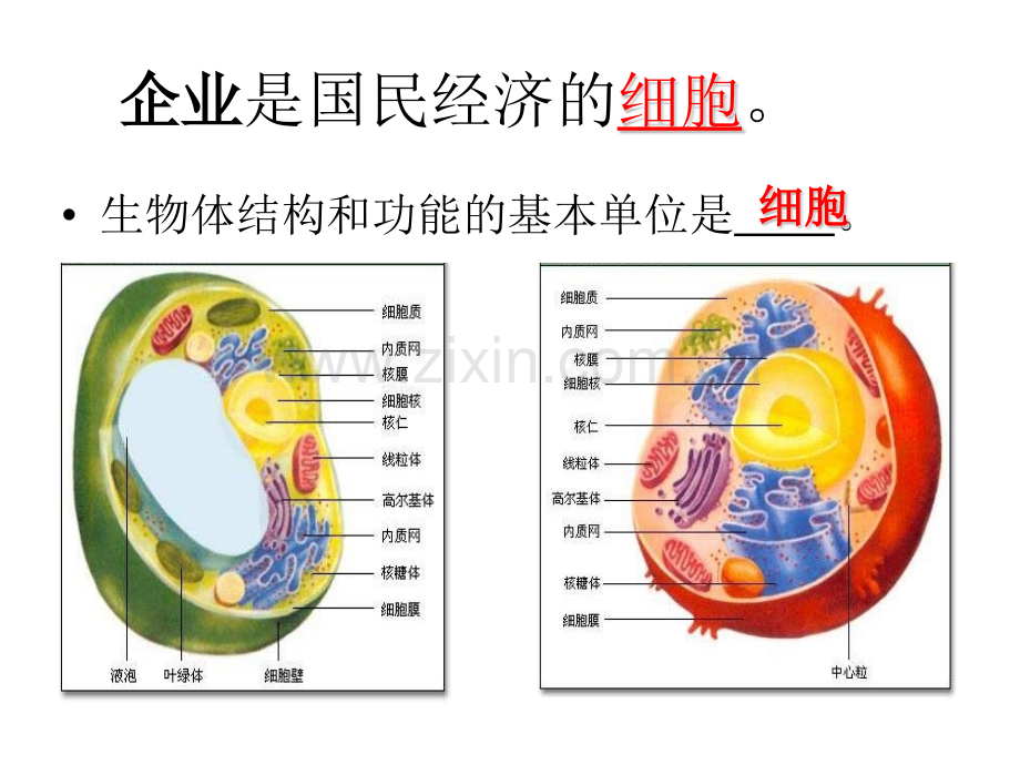 251公司经营-PPT课件.pptx_第1页