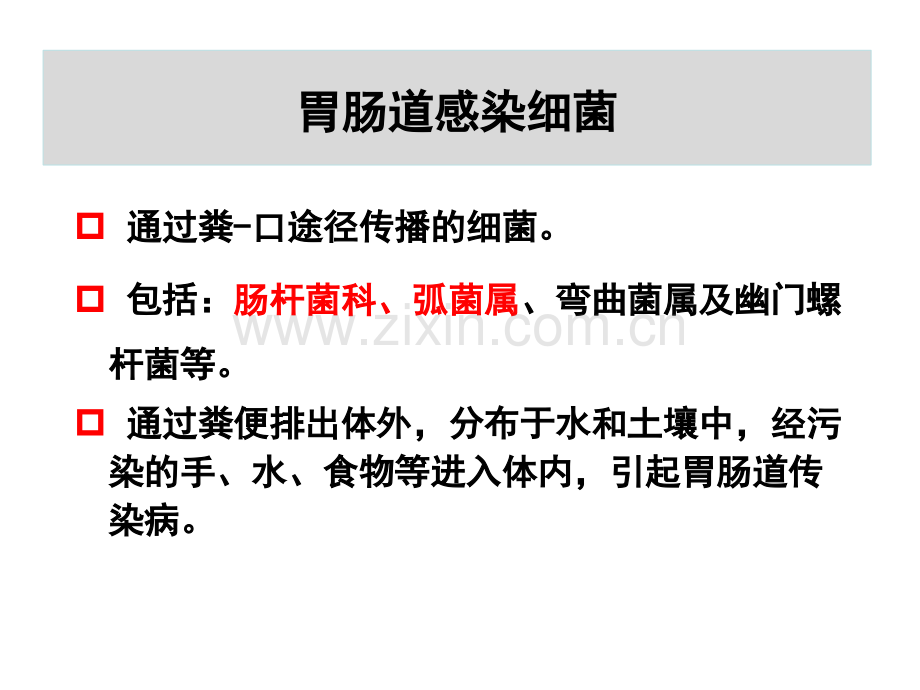 8胃肠道感染细菌.pptx_第2页
