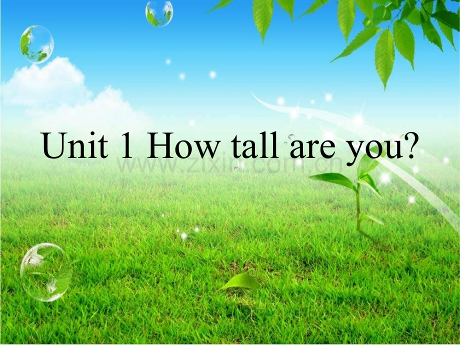 how-tall-are-you教学.pptx_第1页
