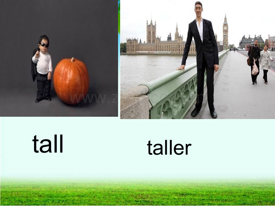 how-tall-are-you教学.pptx_第2页
