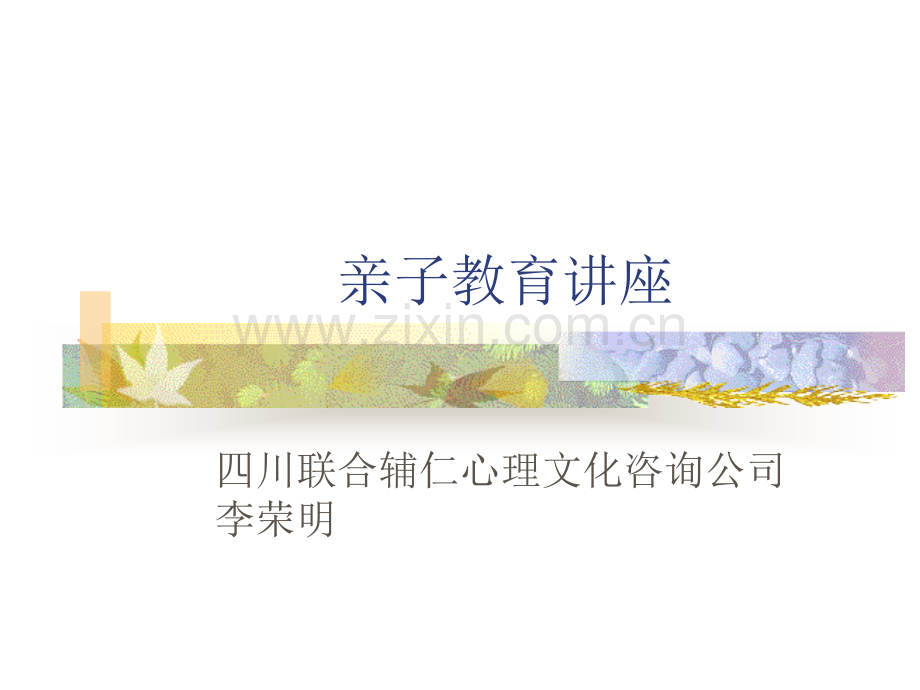儿童青少年教养技能指南.pptx_第1页