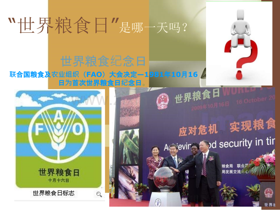 中国粮食安全.pptx_第1页