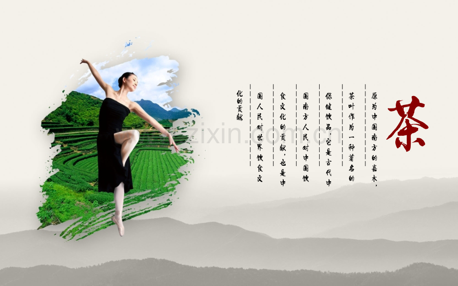 中国风048中国茶文化.pptx_第2页
