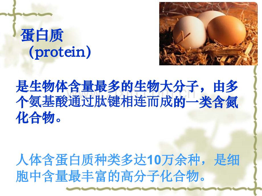 五蛋白质的结构和功能.pptx_第2页