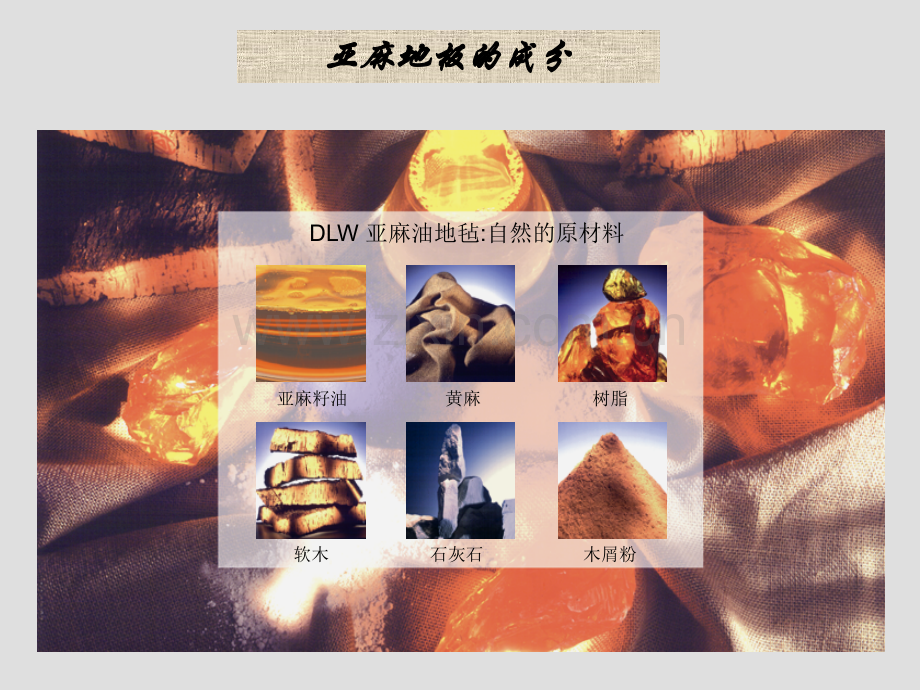 亚麻地板2概述.pptx_第1页