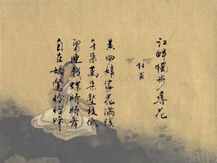 323开花和结果1.pptx_第1页