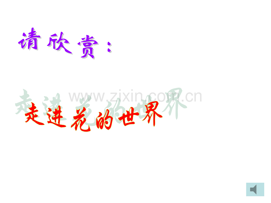 323开花和结果1.pptx_第2页