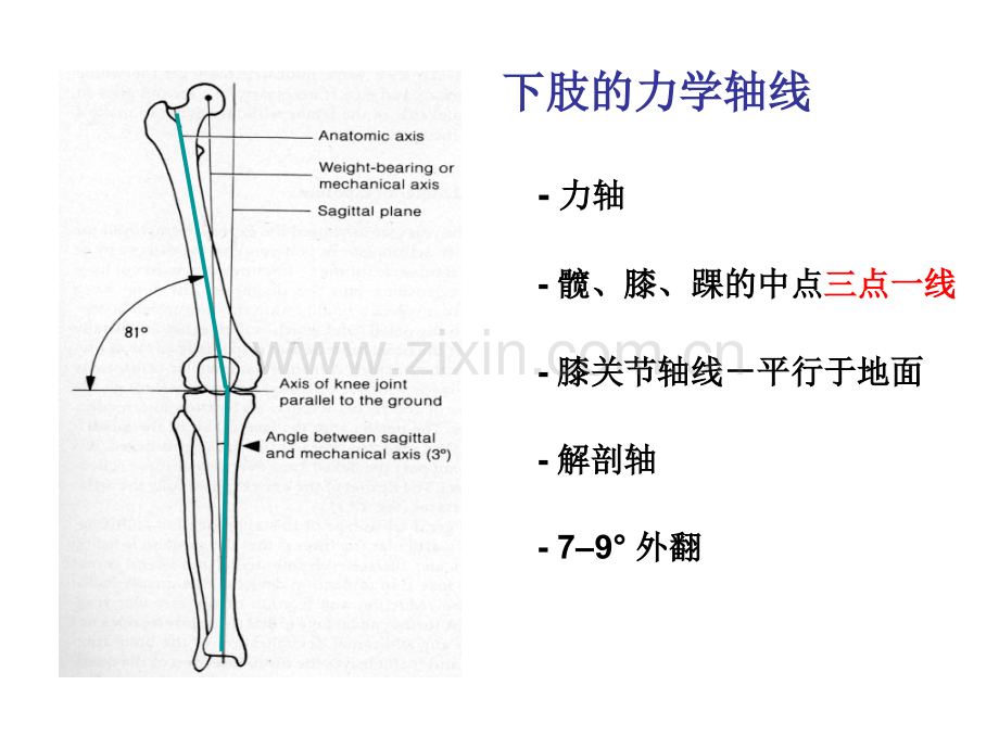ao膝关节骨折.pptx_第2页