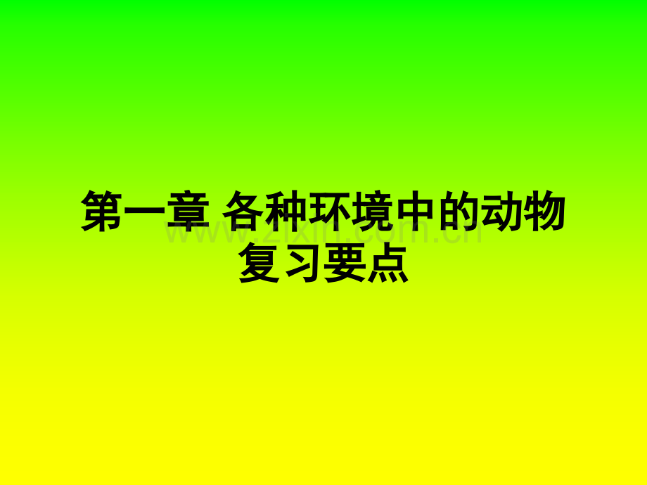 人教新课标版初中八上各种环境中的动物复习.pptx_第1页