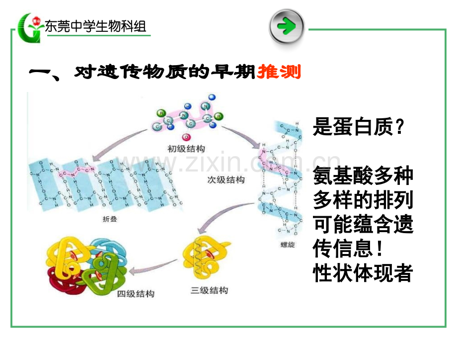 BDNA是主要的遗传物质.pptx_第2页