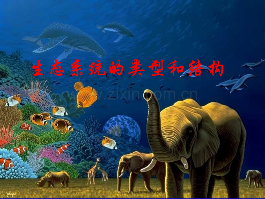 人教版教学云南省弥勒县庆来中学2011生物必修3生态系统结构4.pptx_第1页