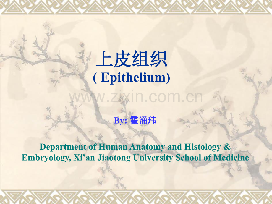 五年制上皮组织.pptx_第1页