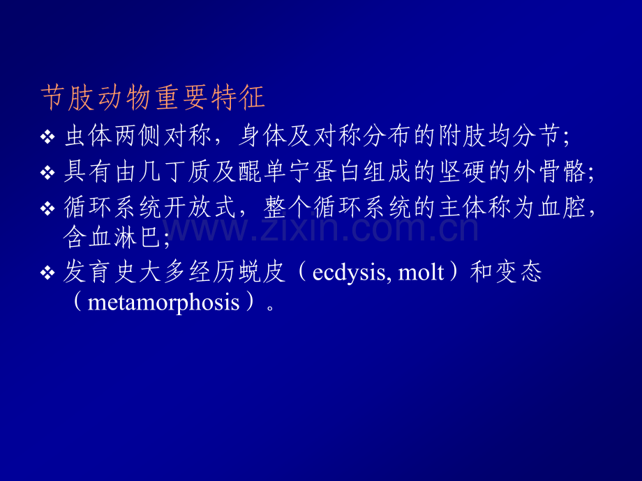 Parasite寄生虫医学节肢动物概述.pptx_第2页