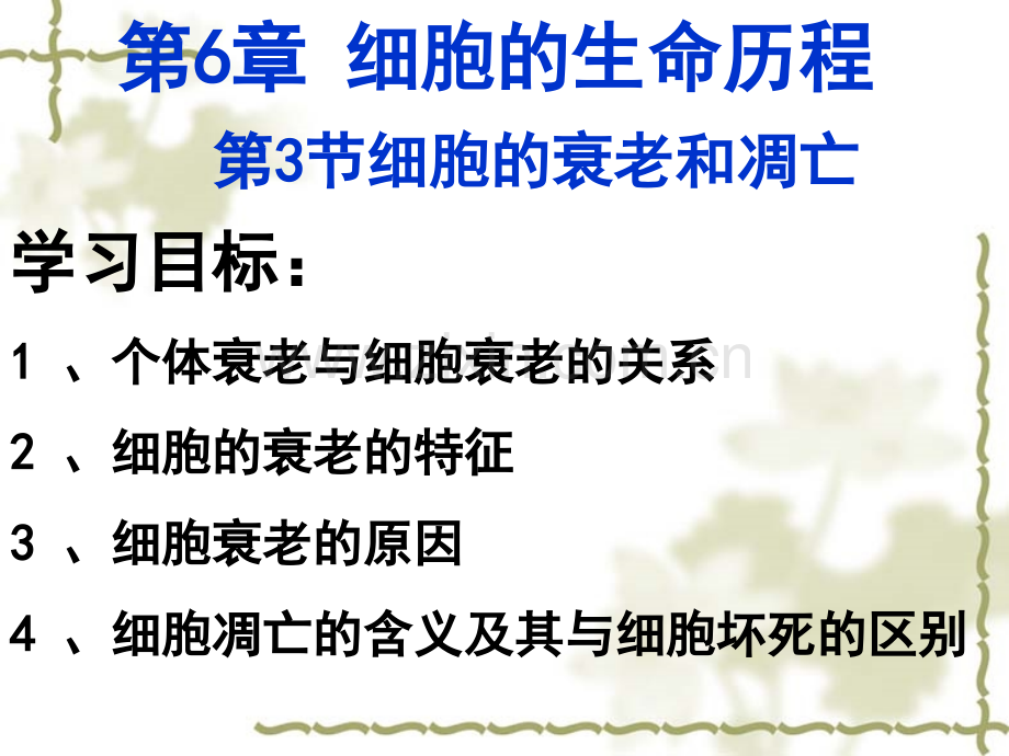 人教版教学课件63细胞的衰老和凋亡1PPT.pptx_第2页
