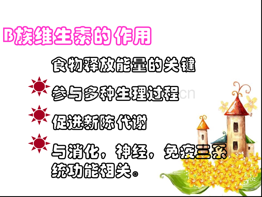 B族维生素的神话讲课.pptx_第2页