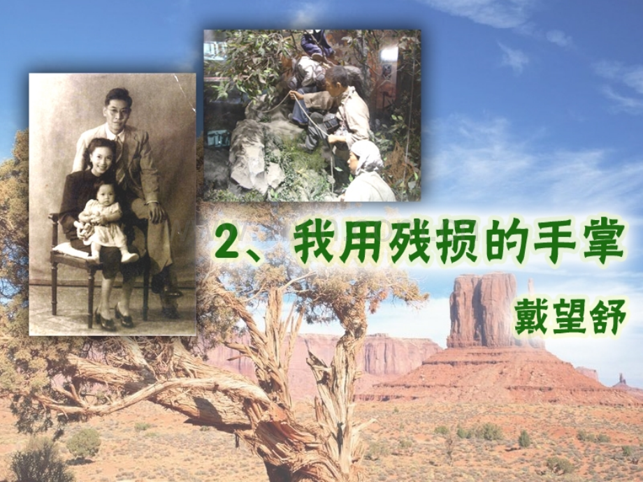 2复件复件我用残损的手掌使用剖析.pptx_第2页