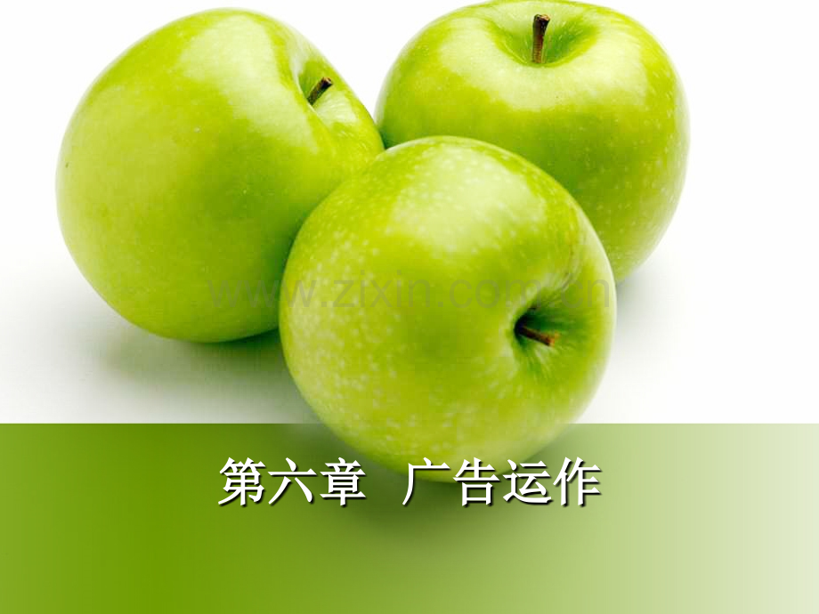 广告运作汇总.pptx_第1页