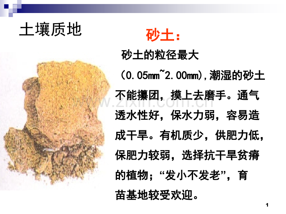 任务六园林植物土壤环境.pptx_第1页