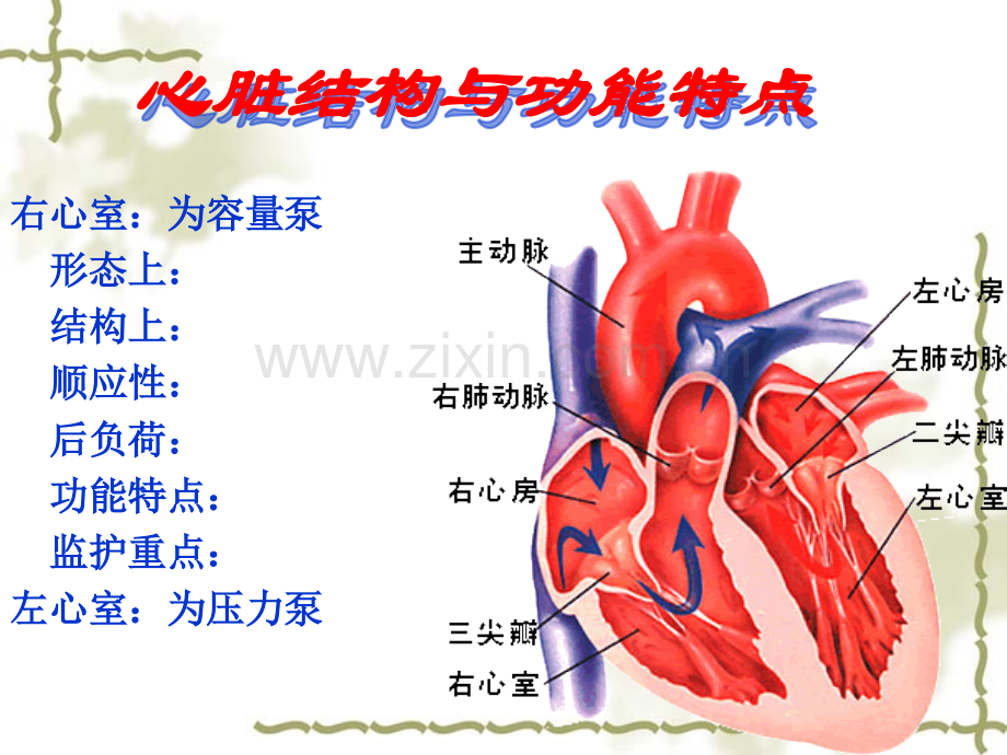 PTCA术患者护理简述.pptx_第2页