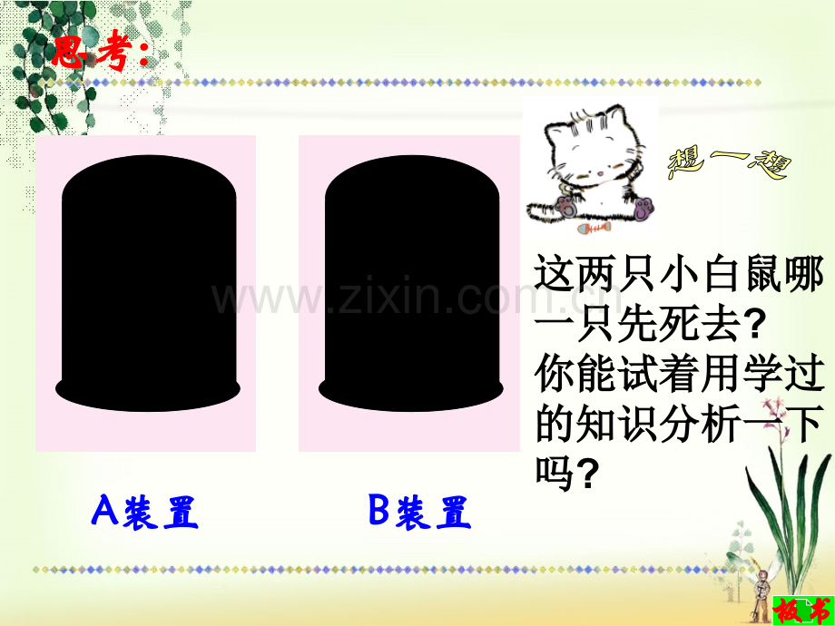 八年级生物上册植物的呼吸作用苏教版概况.pptx_第2页