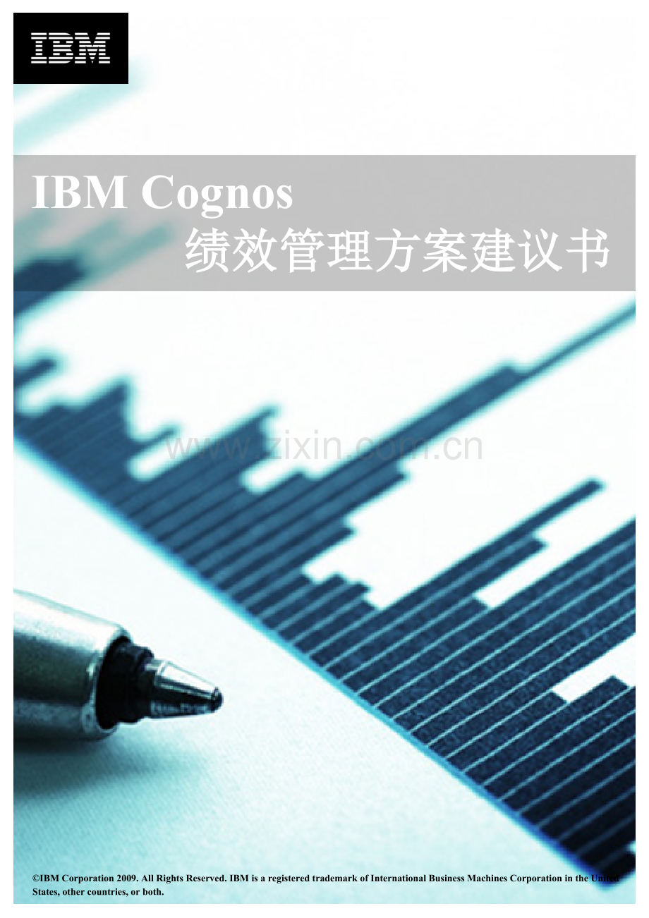 IBMCognos绩效管理方案建议书VDP.doc_第1页