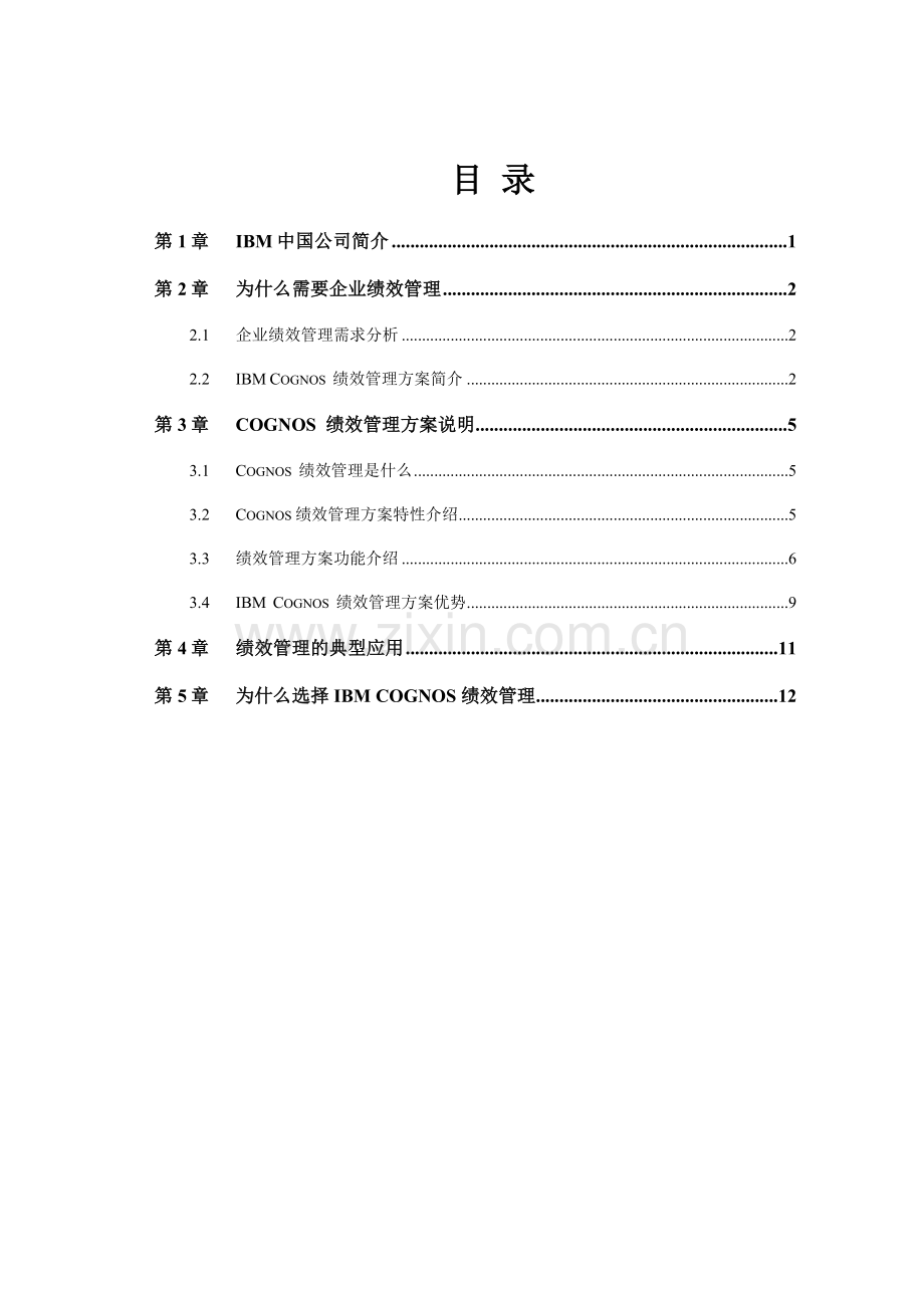 IBMCognos绩效管理方案建议书VDP.doc_第2页