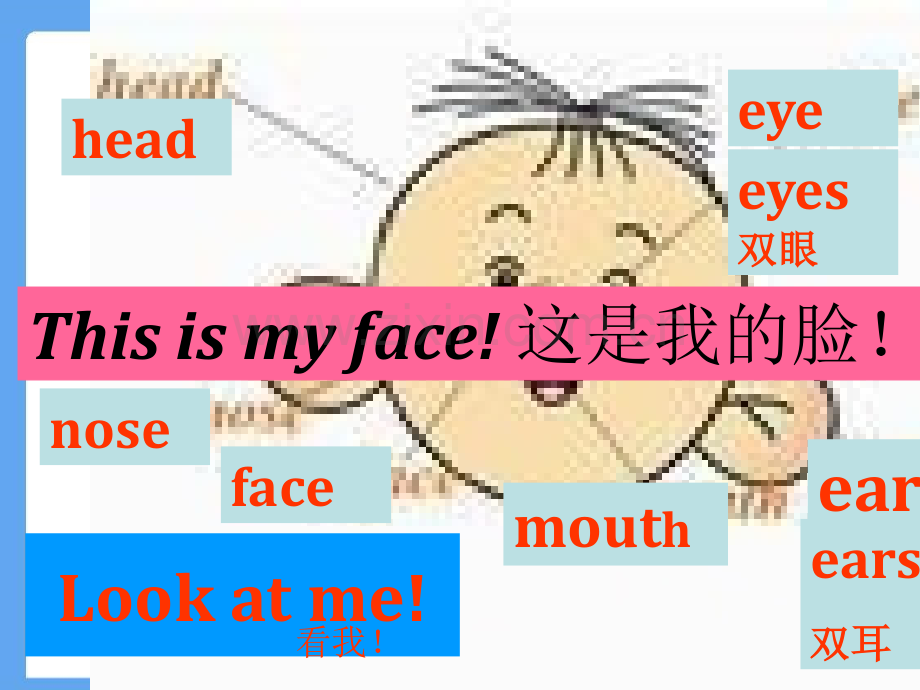 三上U3Blet'slearn.pptx_第2页