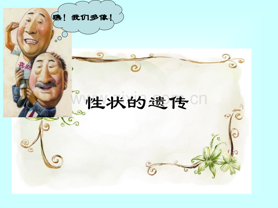 442性状的遗传.pptx_第1页