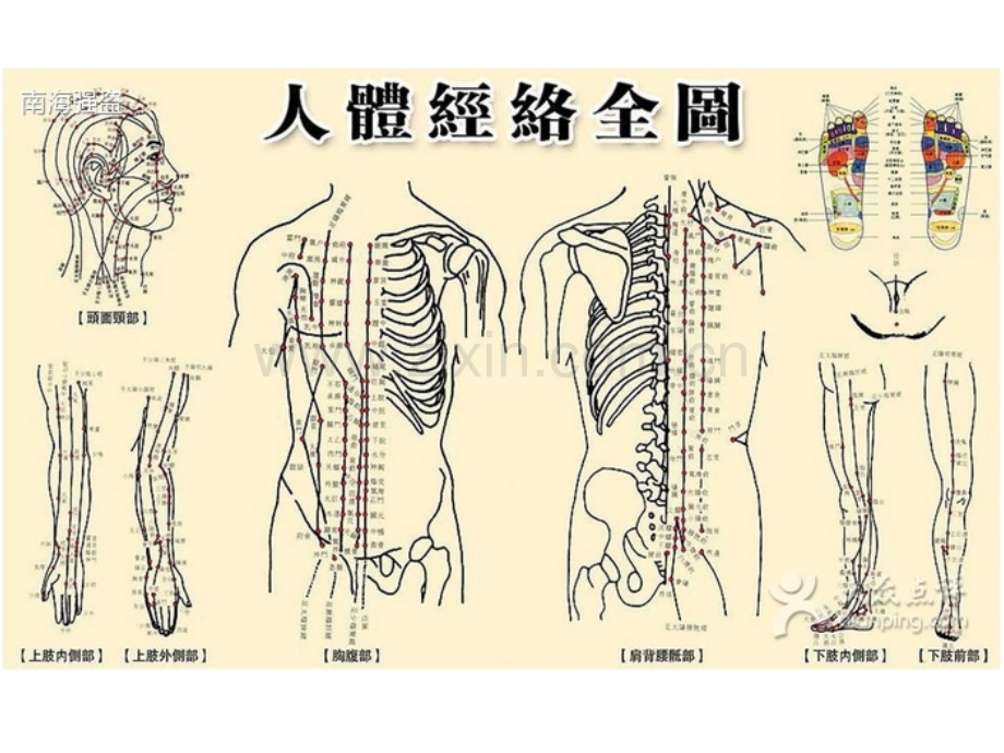 6经络腧穴总论12.pptx_第2页